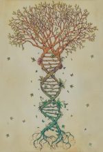 psicologia transgenerazionale